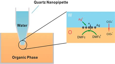 Fabrication of Metal Nanoelectrodes by Interfacial 